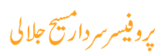 sardar logo